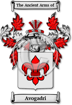 Avogadri Family Crest Download (jpg) Legacy Series - 150 DPI