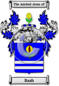 Baab Family Crest Download (jpg) Legacy Series - 150 DPI