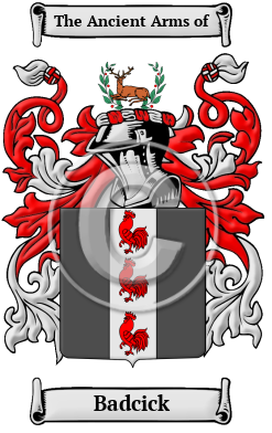 Badcick Family Crest Download (JPG) Heritage Series - 300 DPI