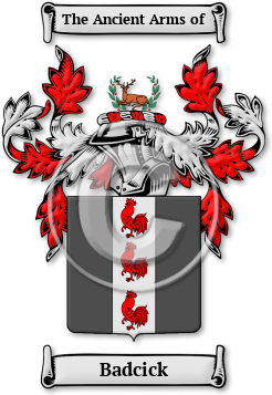 Badcick Family Crest Download (jpg) Legacy Series - 150 DPI