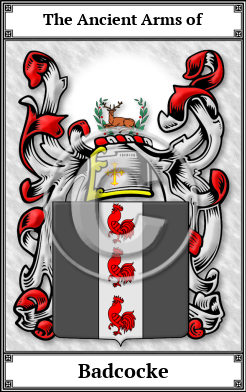 Badcocke Family Crest Download (JPG)  Book Plated - 150 DPI