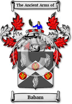 Babam Family Crest Download (jpg) Legacy Series - 150 DPI