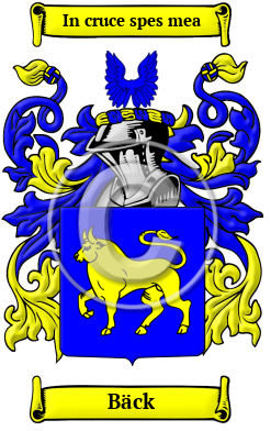 Bäck Family Crest Download (JPG) Heritage Series - 300 DPI