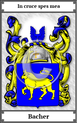 Bacher Family Crest Download (JPG) Book Plated - 600 DPI