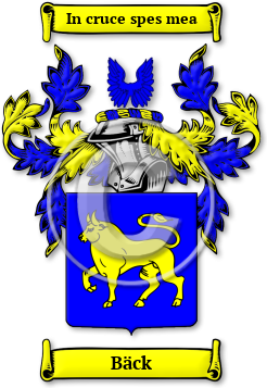 Bäck Family Crest Download (jpg) Legacy Series - 150 DPI