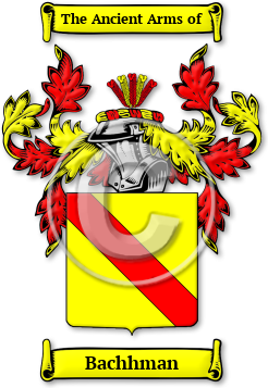 Bachhman Family Crest Download (jpg) Legacy Series - 150 DPI