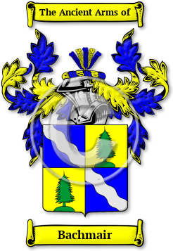 Bachmair Family Crest Download (JPG) Legacy Series - 600 DPI