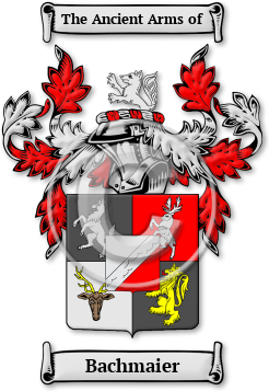 Bachmaier Family Crest Download (jpg) Legacy Series - 150 DPI