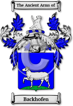 Backhofen Family Crest Download (jpg) Legacy Series - 150 DPI