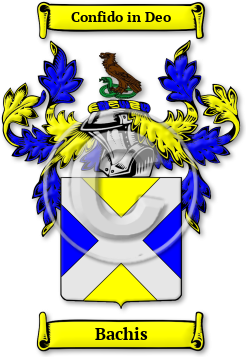 Bachis Family Crest Download (jpg) Legacy Series - 150 DPI