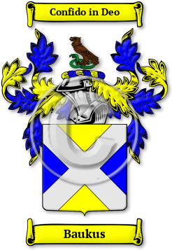Baukus Family Crest Download (jpg) Legacy Series - 150 DPI