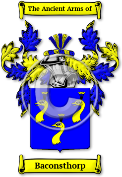 Baconsthorp Family Crest Download (jpg) Legacy Series - 150 DPI