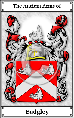 Badgley Family Crest Download (JPG)  Book Plated - 150 DPI