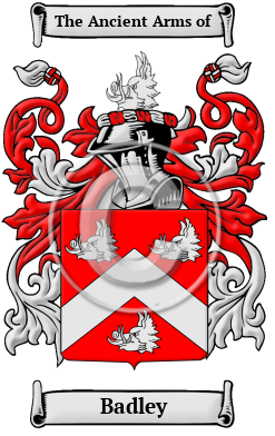 Badley Family Crest/Coat of Arms