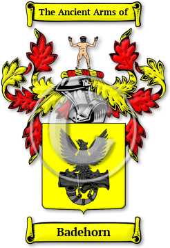 Badehorn Family Crest Download (jpg) Legacy Series - 150 DPI