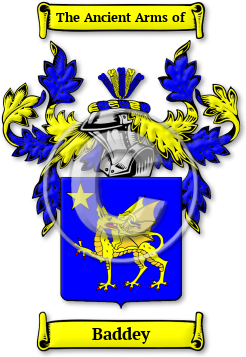 Baddey Family Crest Download (JPG) Legacy Series - 600 DPI