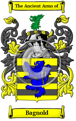 Bagnold Family Crest/Coat of Arms
