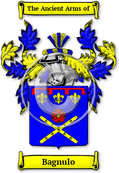 Bagnulo Family Crest Download (jpg) Legacy Series - 150 DPI