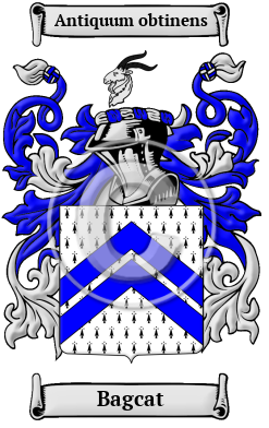 Bagcat Family Crest/Coat of Arms