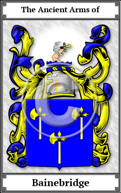 Bainebridge Family Crest Download (JPG)  Book Plated - 150 DPI