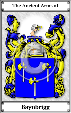 Baynbrigg Family Crest Download (JPG) Book Plated - 600 DPI