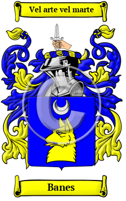 Banes Family Crest Download (JPG) Heritage Series - 600 DPI