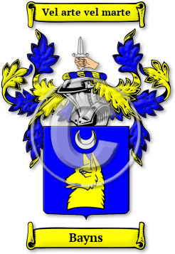 Bayns Family Crest Download (JPG) Legacy Series - 600 DPI