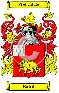 Baird Family Crest Download (JPG) Heritage Series - 300 DPI