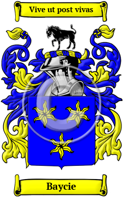 Baycie Family Crest/Coat of Arms