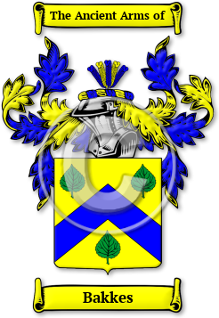Bakkes Family Crest Download (jpg) Legacy Series - 150 DPI