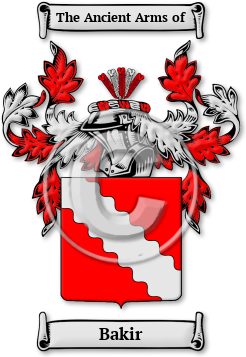 Bakir Family Crest Download (jpg) Legacy Series - 150 DPI