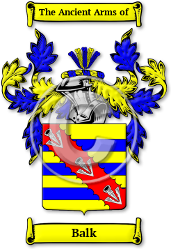 Balk Family Crest Download (JPG) Legacy Series - 600 DPI