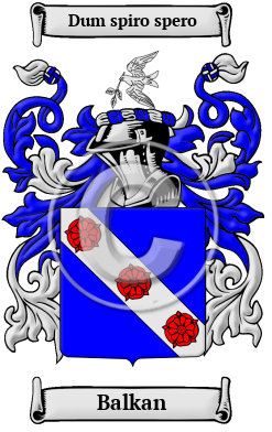 Balkan Family Crest Download (JPG) Heritage Series - 600 DPI