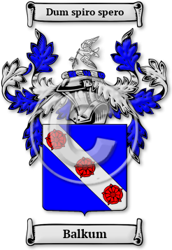 Balkum Family Crest Download (jpg) Legacy Series - 150 DPI