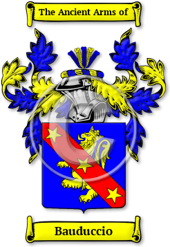 Bauduccio Family Crest Download (jpg) Legacy Series - 150 DPI
