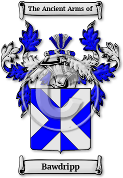 Bawdripp Family Crest Download (jpg) Legacy Series - 150 DPI