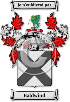 Baldwind Family Crest Download (jpg) Legacy Series - 150 DPI
