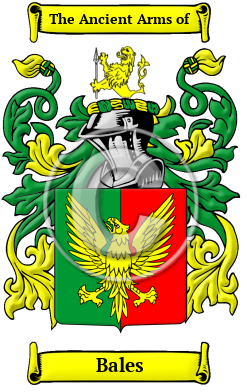 Bales Family Crest Download (JPG) Heritage Series - 600 DPI