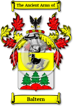 Baltern Family Crest Download (JPG) Legacy Series - 600 DPI