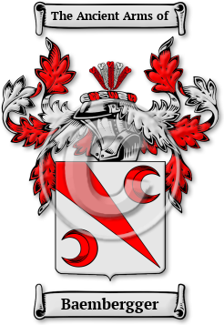 Baembergger Family Crest Download (jpg) Legacy Series - 150 DPI