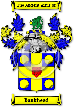 Bankhead Family Crest Download (jpg) Legacy Series - 150 DPI