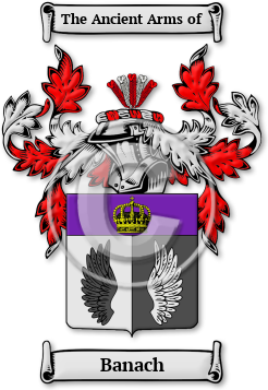 Banach Family Crest Download (jpg) Legacy Series - 150 DPI