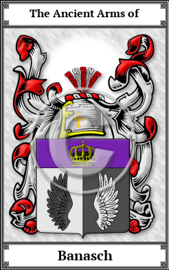 Banasch Family Crest Download (JPG)  Book Plated - 150 DPI