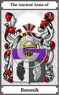 Banasik Family Crest Download (JPG) Book Plated - 600 DPI