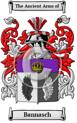 Bannasch Family Crest Download (JPG) Heritage Series - 600 DPI