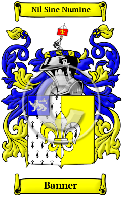 Banner Family Crest Download (JPG) Heritage Series - 600 DPI