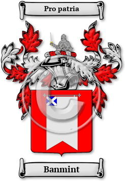 Banmint Family Crest Download (JPG) Legacy Series - 600 DPI