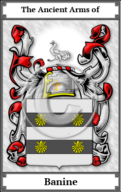 Banine Family Crest Download (JPG)  Book Plated - 150 DPI