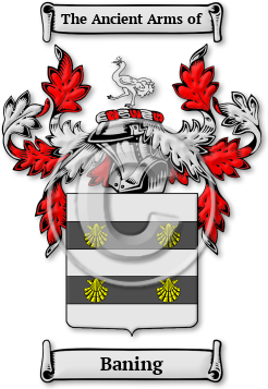 Baning Family Crest Download (jpg) Legacy Series - 150 DPI