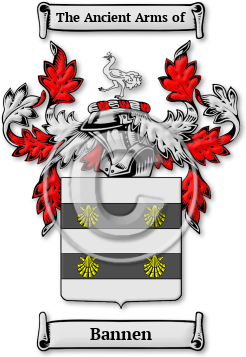 Bannen Family Crest Download (jpg) Legacy Series - 150 DPI